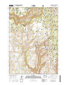 Mosquito Flat 2014 topographic map thumbnail