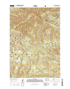 Olive Lake 2014 topographic map thumbnail