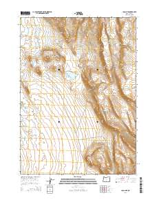 Loco Lake 2014 topographic map thumbnail