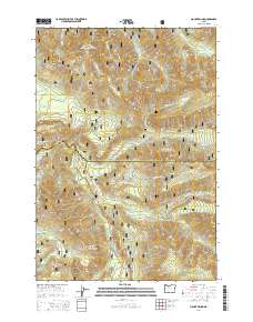 Mount Bruno 2014 topographic map thumbnail