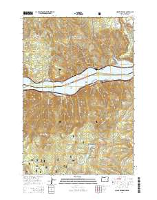 Mount Defiance 2014 topographic map thumbnail
