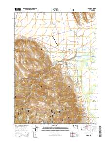 Paisley 2014 topographic map thumbnail