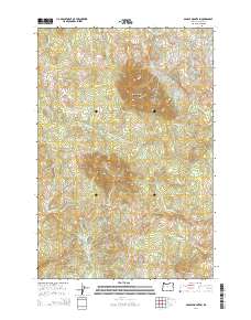 Saddle Mountain 2014 topographic map thumbnail