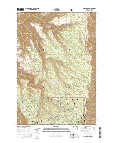 Shamrock Creek 2014 topographic map thumbnail