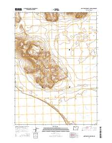 Northeast Harney Lake 2014 topographic map thumbnail