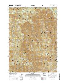 Rigdon Point 2014 topographic map thumbnail