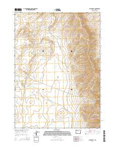 Rincon Flat 2014 topographic map preview