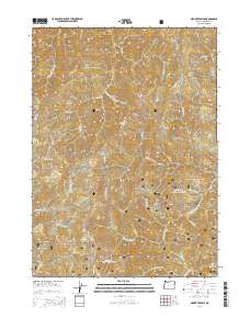 Mount Peavine 2014 topographic map thumbnail
