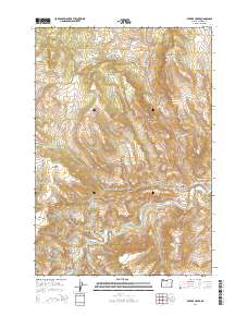 Service Creek 2014 topographic map thumbnail