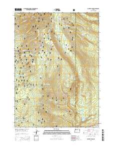 Rustler Peak 2014 topographic map thumbnail