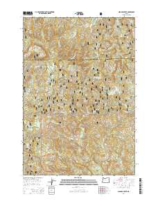 Niagara Creek 2014 topographic map thumbnail