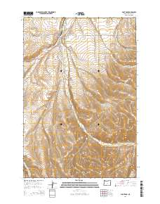 Pilot Rock 2014 topographic map thumbnail