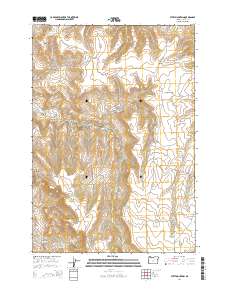 Steet Mountain 2014 topographic map thumbnail