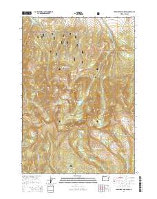 Strawberry Mountain 2014 topographic map thumbnail