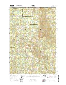 Roaring Creek 2014 topographic map thumbnail