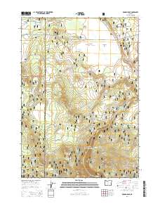 Rodman Rock 2014 topographic map thumbnail
