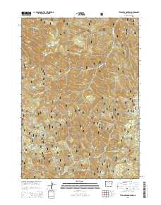 Twin Lakes Mountain 2014 topographic map thumbnail