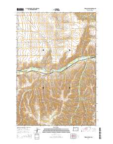 Thorn Hollow 2014 topographic map thumbnail