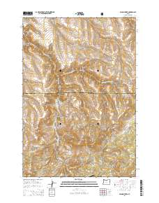 Salmon Fork 2014 topographic map thumbnail