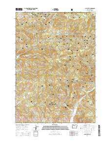 Salt Butte 2014 topographic map thumbnail