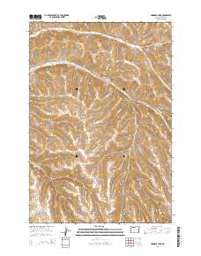 Skinners Fork 2014 topographic map thumbnail