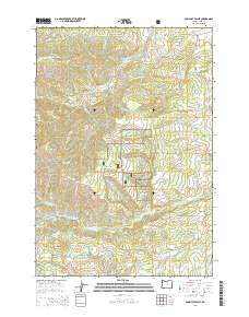 Socialist Valley 2014 topographic map thumbnail