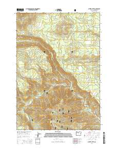 Shitike Butte 2014 topographic map thumbnail
