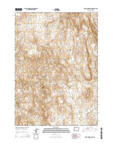 Three Fingers Rock 2014 topographic map thumbnail