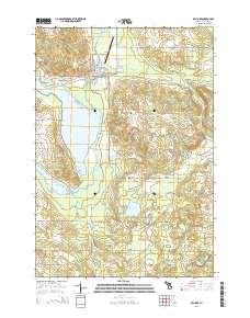 Bellaire 2014 topographic map thumbnail