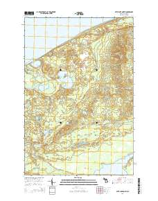 Betsy Lake North 2014 topographic map thumbnail