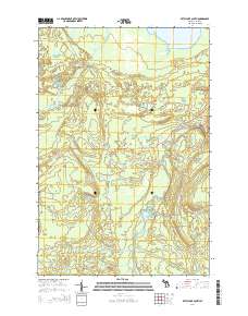 Betsy Lake South 2014 topographic map thumbnail