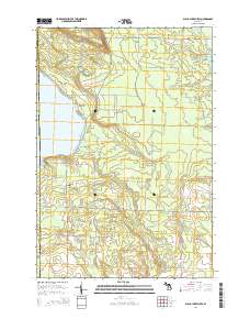 Black Lake Bluffs 2014 topographic map thumbnail