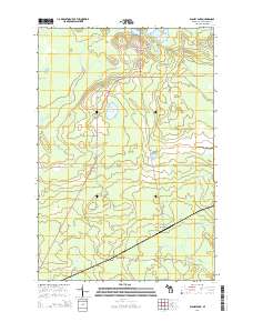 Blaney Park 2014 topographic map thumbnail