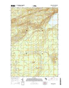 Bruneau Creek 2014 topographic map thumbnail
