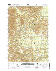 Bucks Pond 2014 topographic map thumbnail