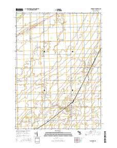 Fairgrove 2014 topographic map thumbnail
