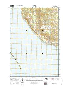 Forest Beach 2014 topographic map thumbnail
