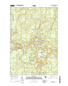 Hickman Lake 2014 topographic map thumbnail