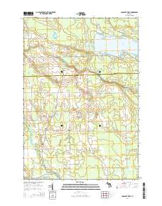 Long Lake West 2014 topographic map thumbnail