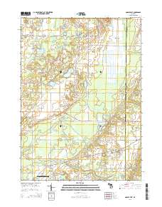 Gobles East 2014 topographic map thumbnail