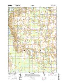 Gobles West 2014 topographic map thumbnail