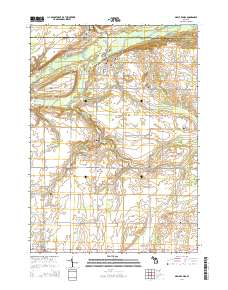 Maple Rapids 2014 topographic map thumbnail