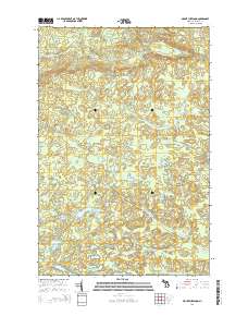 Mount Curwood 2014 topographic map thumbnail