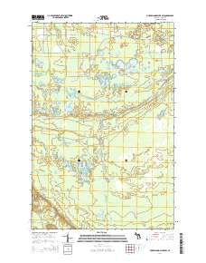 Muskallonge Lake SW 2014 topographic map thumbnail