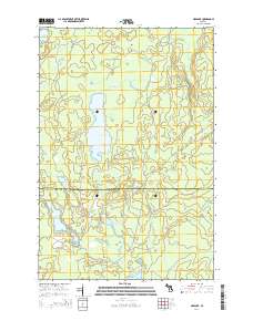 Ned Lake 2014 topographic map thumbnail