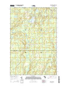 Nelson Lake 2014 topographic map thumbnail