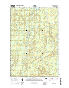 Ned Lake SE 2014 topographic map thumbnail