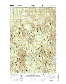 Paulding 2014 topographic map thumbnail