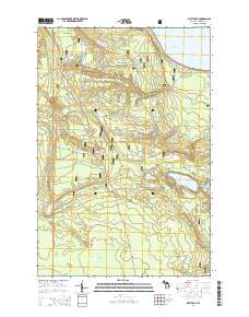 Piatt Lake 2014 topographic map thumbnail