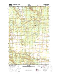 Pickford NW 2014 topographic map thumbnail